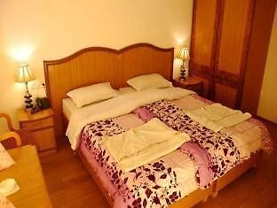 Hotel Ladakh Continental 列城 外观 照片